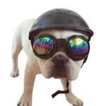 Profile Picture of Julian Granlund (@weekly_swedish_memes_) on Instagram