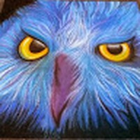 Profile Picture of Skye Mcleod (@skye-mcleod-11) on Quora