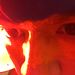 Profile Picture of Paul Kottis (@thubderbuddies) on Pinterest