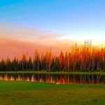 Profile Picture of Michael Darley (@mdiddyocity) on Instagram