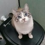 Profile Picture of H Dolfato (@hdolfs) on Instagram