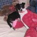 Profile Picture of Cathy Richards (@cathy.richards.5070) on Facebook