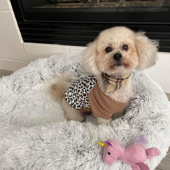 Reulilyn Pangaliman - Poshmark Profile Picture of Reulilyn Pangaliman (@reunoel) on Poshmark