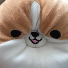 Profile Picture of Nicholas Fu (@NicholasFu7) on Twitter