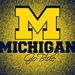 Profile Picture of Zachary Springer (@zachspri24) on Pinterest