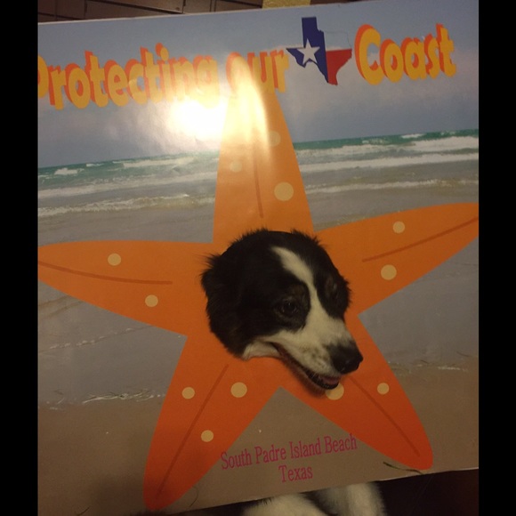 Profile Picture of Debbie Saenz (@debcsnz0213) on Poshmark