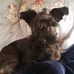 Profile Picture of Hope Shackelford (@hope.shackelford.507) on Facebook