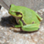 Profile Picture of Ròòò (@ròòò) on Flickr