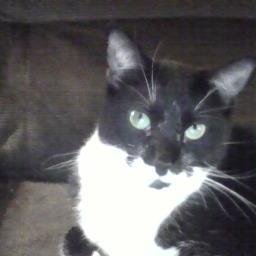 Profile Picture of Travis Shaffer (@TLShaff2277) on Twitter