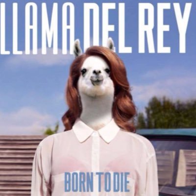 Bibi Watson - Twitter Profile Picture of Bibi Watson (@BibiWatson41) on Twitter