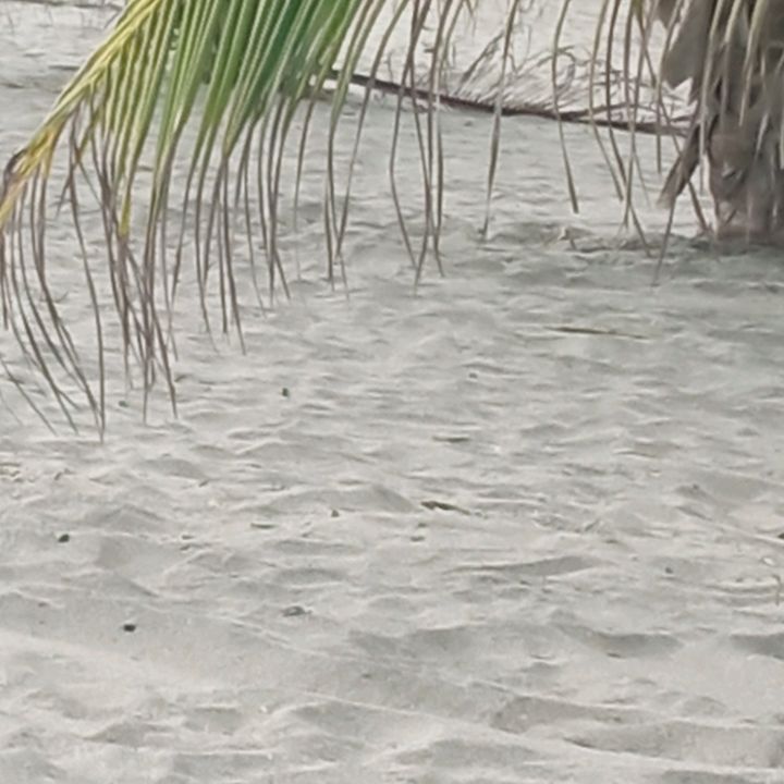 Profile Picture of Robertonusk (@robertonusk) on Tiktok