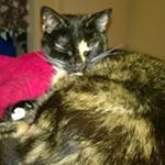 Profile Picture of Maureen McCafferty (@maureen71969) on Instagram
