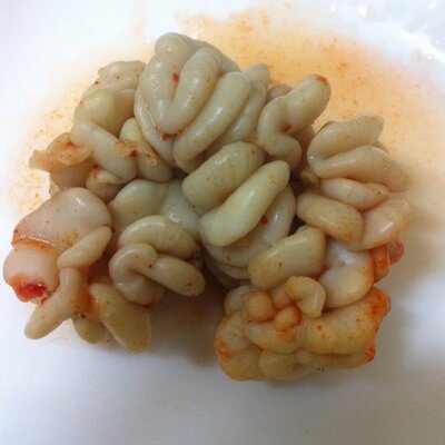 Profile Picture of Hoon Cho (@Dydsu) on Twitter