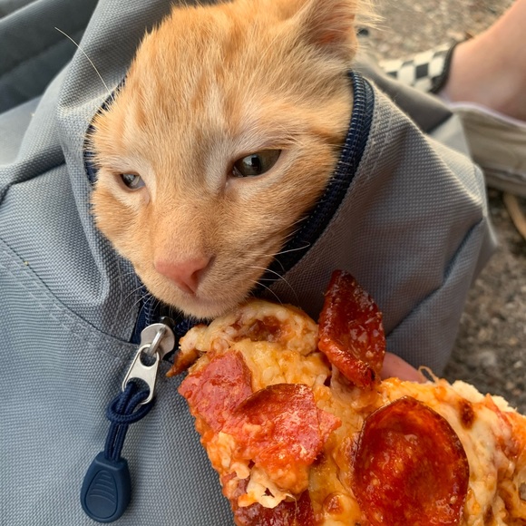 Profile Picture of Rowan Moody (@rowan_moody) on Poshmark