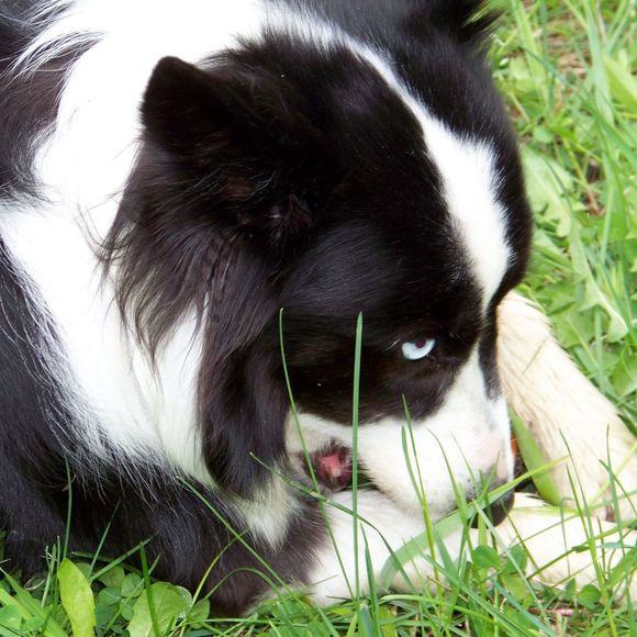 Profile Picture of Bob Palmer (@bobpalmer811) on Poshmark