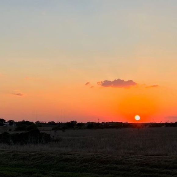 Profile Picture of Martin Leino (@martinleino) on Poshmark