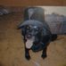 Profile Picture of Eddie Courtright (@eddie.courtright.7) on Facebook