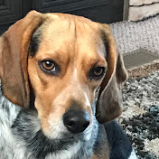 Profile Picture of DiAnna Adams (@diannaadams6756) on Youtube