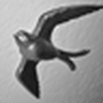Profile Picture of Prismtz (@prismtz) on Flickr