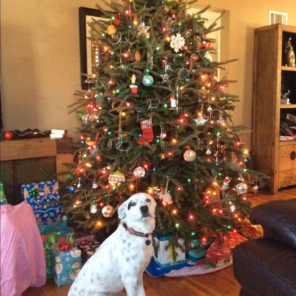 Adam Bernabo - Poshmark Profile Picture of Adam Bernabo (@adam__b_) on Poshmark