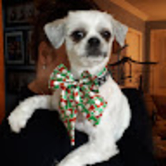 Profile Picture of Darcy Mccann (@mopardarcy) on Poshmark