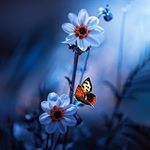 Profile Picture of daniel_pisano (@dan_piz) on Instagram