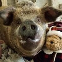 Profile Picture of Saxyn Piffath (@saxyn-piffath) on Quora
