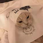 Profile Picture of meilingg (@lydia_zhang__) on Instagram