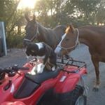 Profile Picture of Stephen Fenwick (@fenwickrural) on Instagram