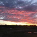 Profile Picture of Roberto Viberti (@robertoviberti) on Instagram