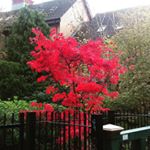 Profile Picture of Jaffer B (@jaffbokken01) on Instagram