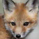 Profile Picture of Joseph Zaragoza (@josephfina13) on Instagram