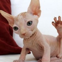 Profile Picture of Shawna Dyer (@shawna-dyer-5) on Quora