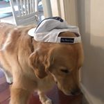 Profile Picture of Logan Fossey (@logan.fossey) on Instagram
