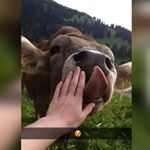 Profile Picture of Caroline Jäger (@caroline.jaeger2002) on Instagram