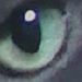 Profile Picture of Kim Kernan (@kdkernan) on Pinterest