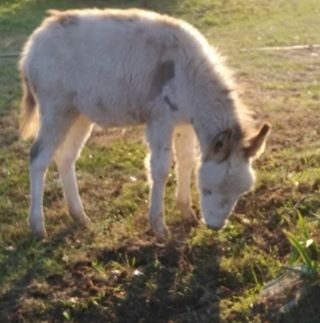 Profile Picture of Giorgio Repetto (@giorgio.repetto.18) on Facebook