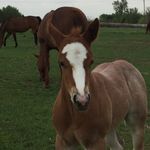 Profile Picture of Olivia Putnam (@olivia_putnam78) on Instagram