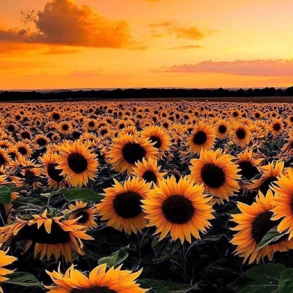 Profile Picture of Destiny Dejames (@deskiyo) on Poshmark