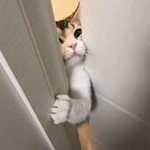 Profile Picture of Wan-Ting Huang (@huangwt_i) on Instagram