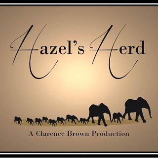 Profile Picture of Hazel's Herd (@hazels.herd) on Facebook