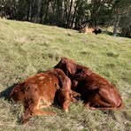 Kasey Summers - Facebook Profile Picture of Kasey Summers (@kasey.summers.739) on Facebook