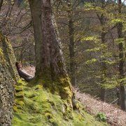 Profile Picture of Alaine Burns (@orangegnaro) on Pinterest