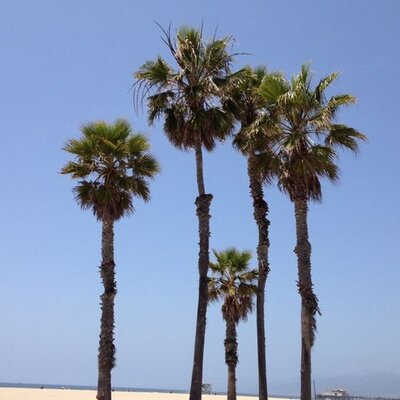 Profile Picture of Michael E Hence (@m_hence) on Twitter