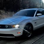 Profile Picture of James Robustelli (@lil_flop5.0) on Instagram