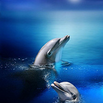 Profile Picture of Clare Porter (@clareporter1984) on Flickr