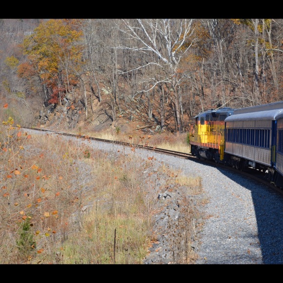 Profile Picture of Marie Lasasso (@malasasso) on Poshmark