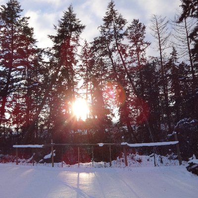 Profile Picture of Dawn-marie (@light_and_lit) on Twitter