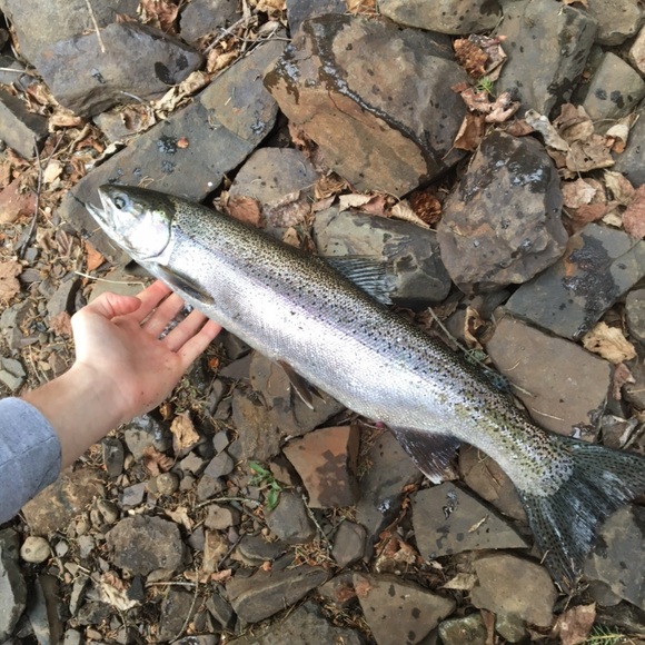 Profile Picture of David Roulston (@davidroulston) on Poshmark