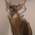 Profile Picture of hunter hemphill (@hunterhemphill25) on Instagram